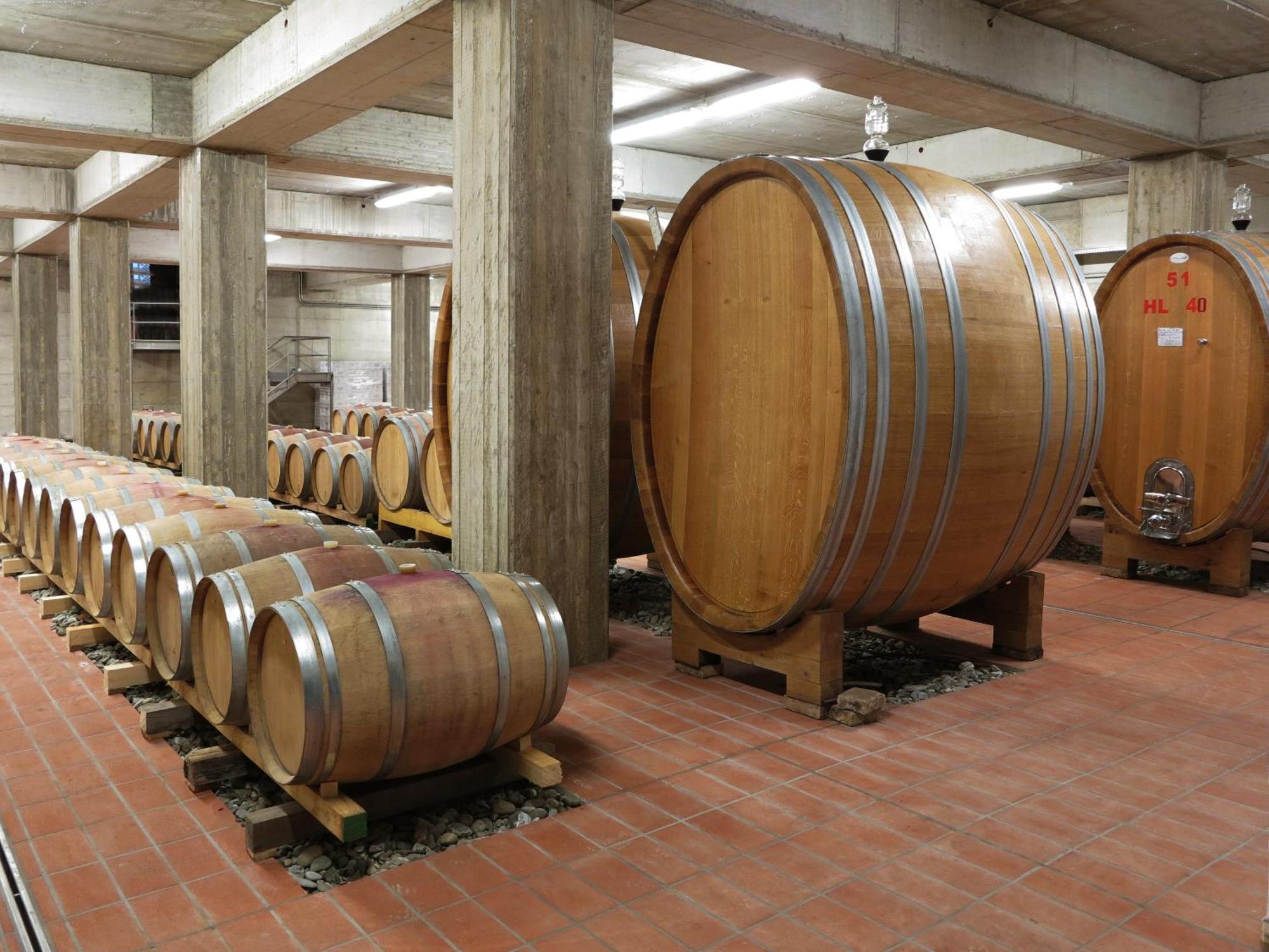 Poderi Firenze Cinigiano Exterior foto