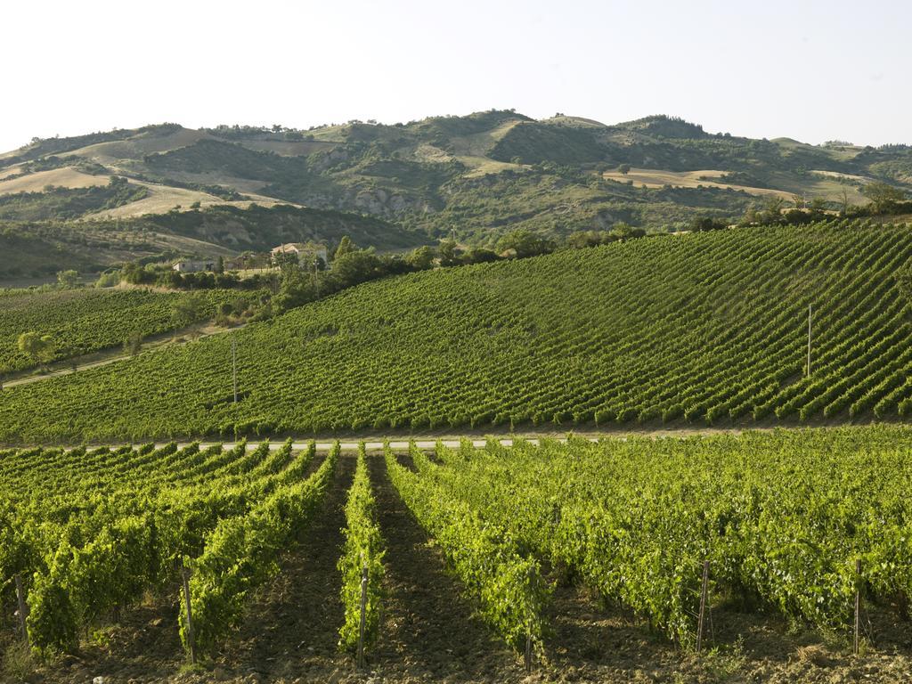 Poderi Firenze Cinigiano Exterior foto